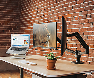 How To Choose A Monitor Stand?